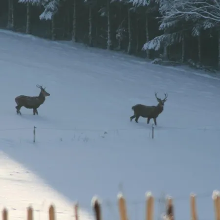 Bed & Breakfast D'hotes Les Trappeurs Silence & Nature